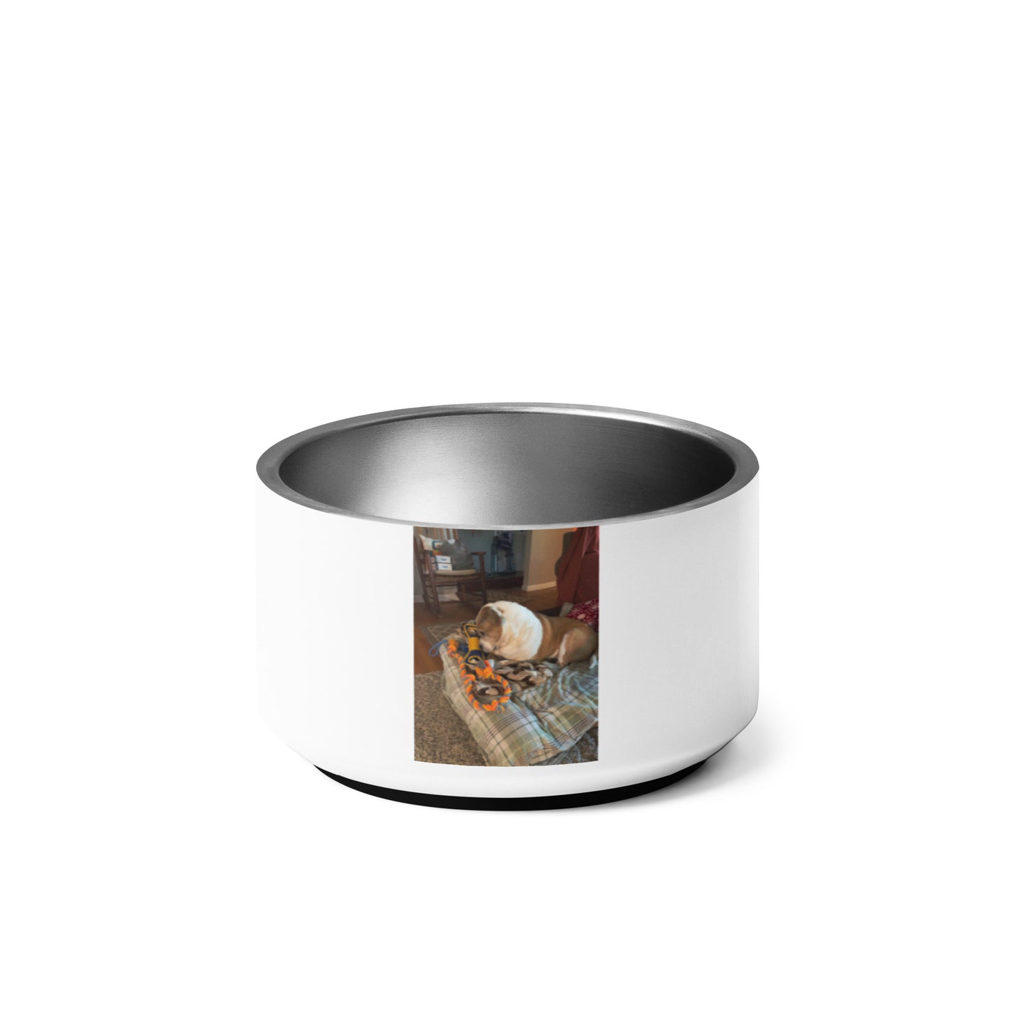 “Come And Get It” Pet bowl