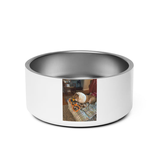 “Come And Get It” Pet bowl